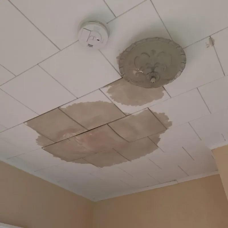 Ceiling Water Damage Repair in Preston City, CT