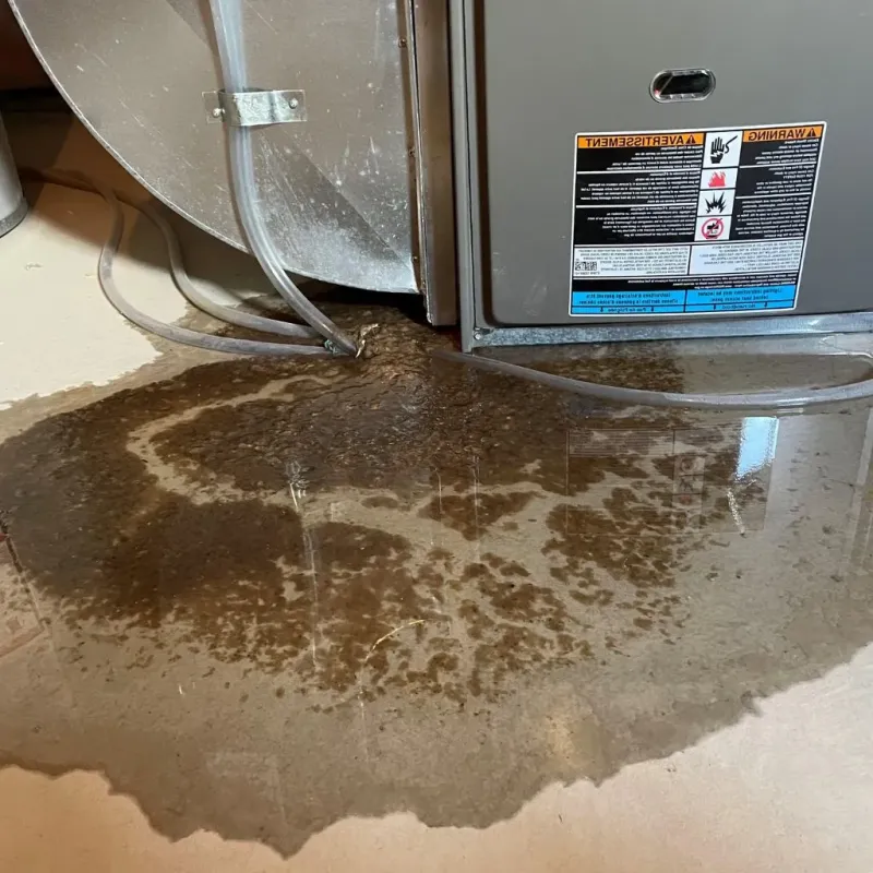 Pipe Burst and Leak Restoration in Preston City, CT
