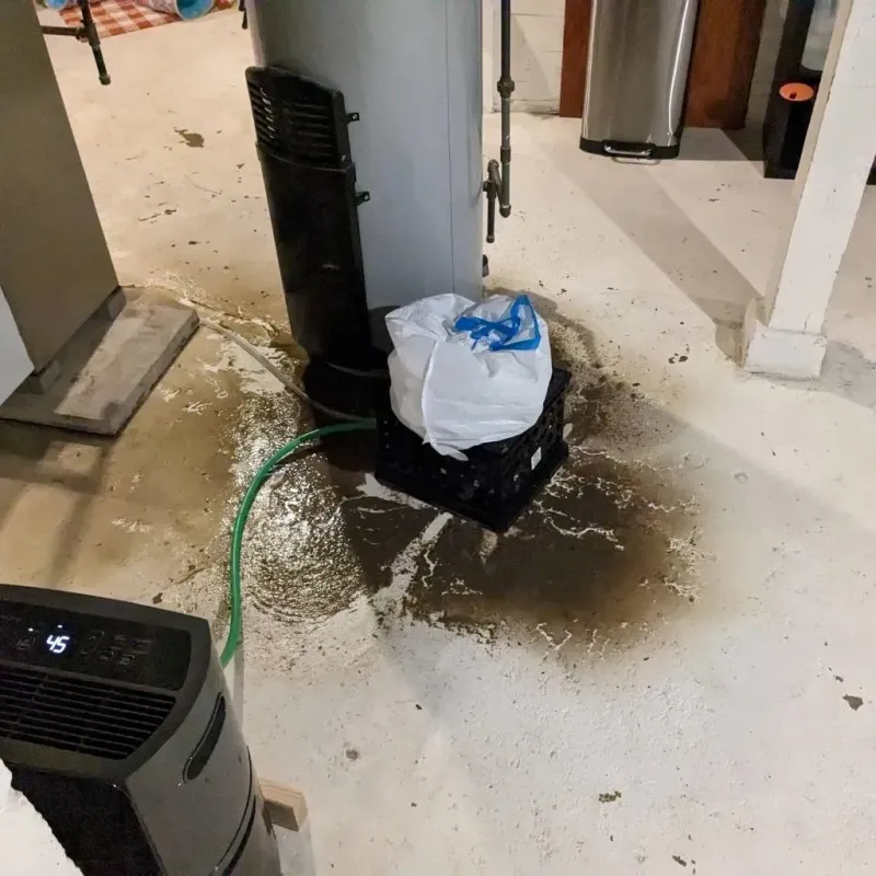Sewage Backup Cleanup Service in Preston City, CT